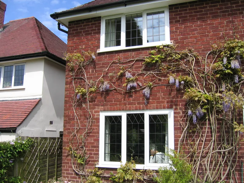Edwardian Camberwell
